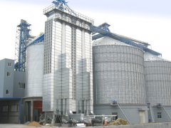 Yongli Assembly Silo-----Exported to Overseas Market